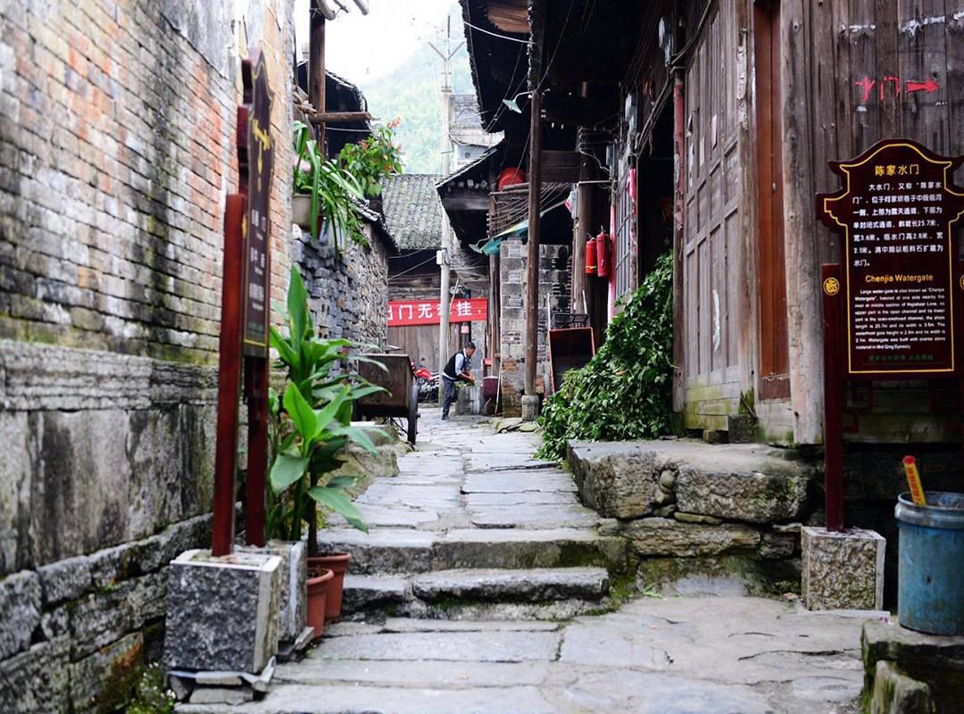 奥莉的夏威夷之旅